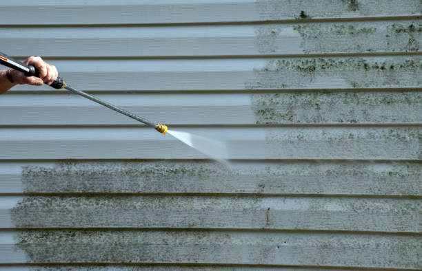 Best Residential Mold Removal  in Archer Lodge, NC