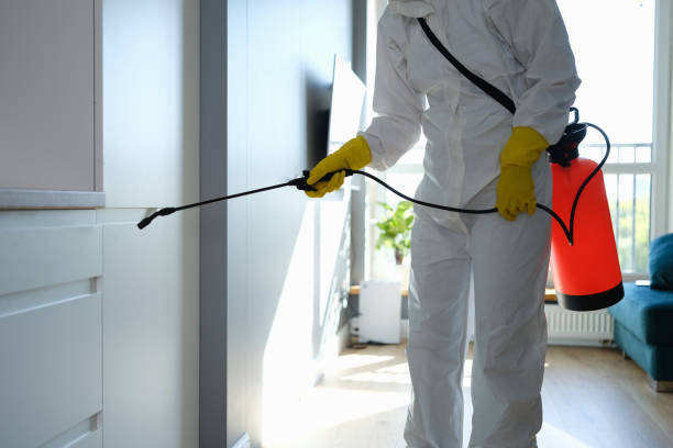 Best Mold Remediation  in Archer Lodge, NC