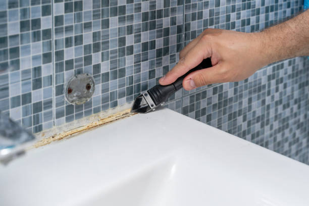 Best Mold Cleaning Services  in Archer Lodge, NC