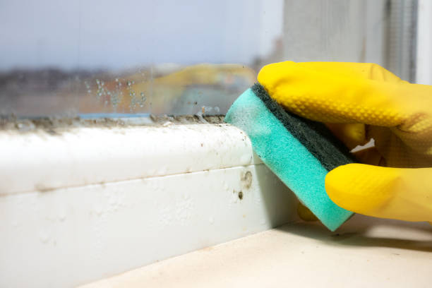 Archer Lodge, NC Mold Removal Company